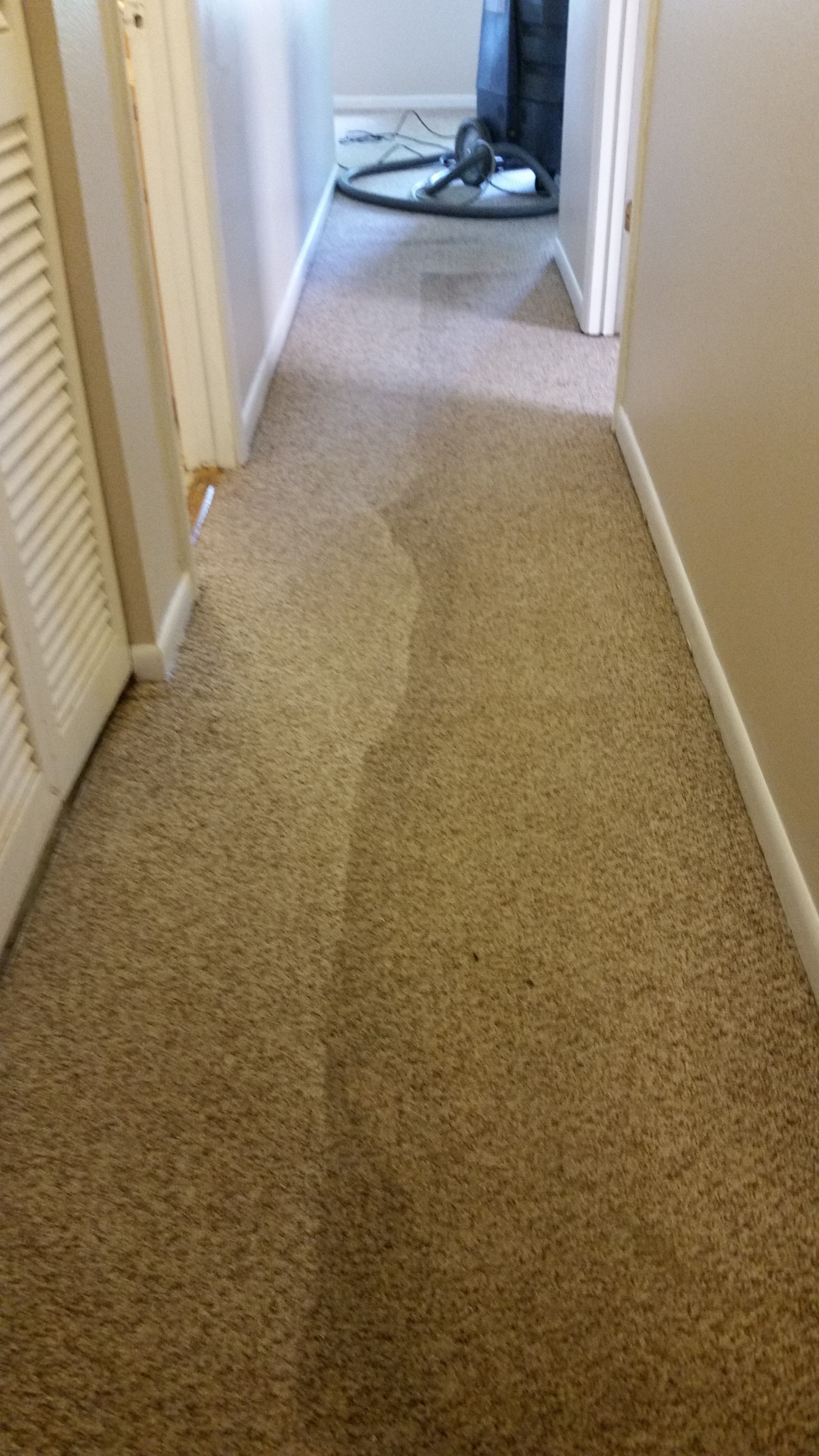 1/2 mid-cleaned hall carpet comparison